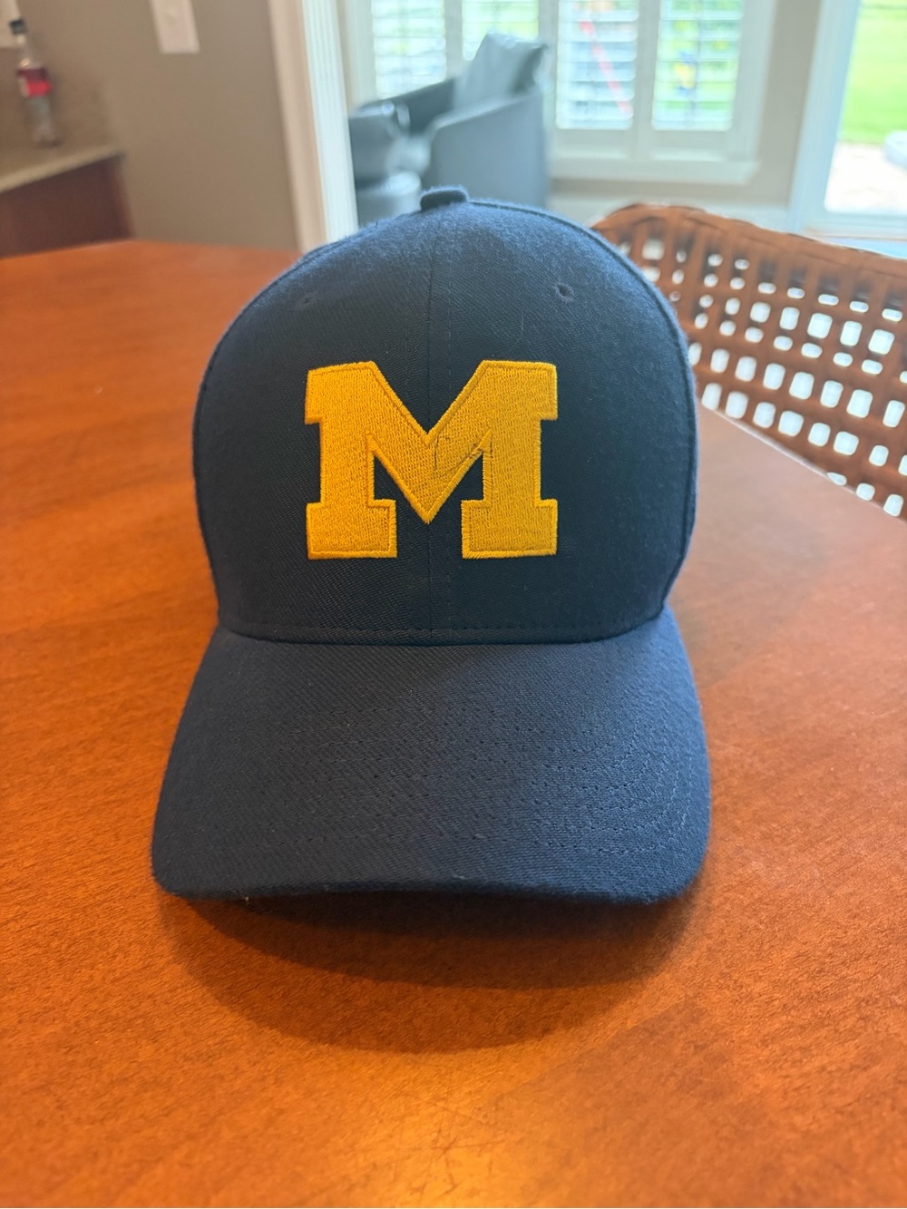 Nike Michigan Hat